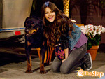 Tori and The Rottweiler