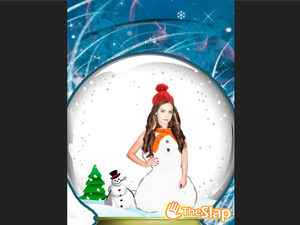 Cat's Christmas Pics!