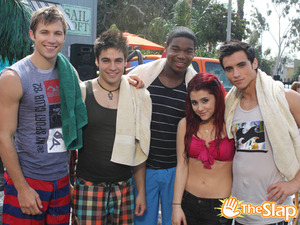 Cat's Day at the Beach