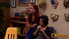 Cat's Grooming Mishap